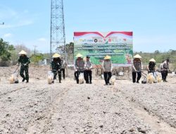 Polda NTT Tanam Jagung di 1.111 Hektare untuk Dukung Ketahanan Pangan