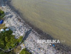 Pelindo Gandeng Startup Kembangkan Inovasi Berkelanjutan untuk Pesisir Indonesia