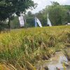 Distan Sumsel Berdayakan Brigade Pangan untuk Capai Target Produksi Padi 2025