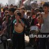 Festival Film El Gouna Soroti Krisis Gaza Lewat Program ‘Window on Palestine’