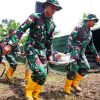 TNI dan ADF Gelar Simulasi dalam FTX Bhakti Kanyini Ausindo 2025