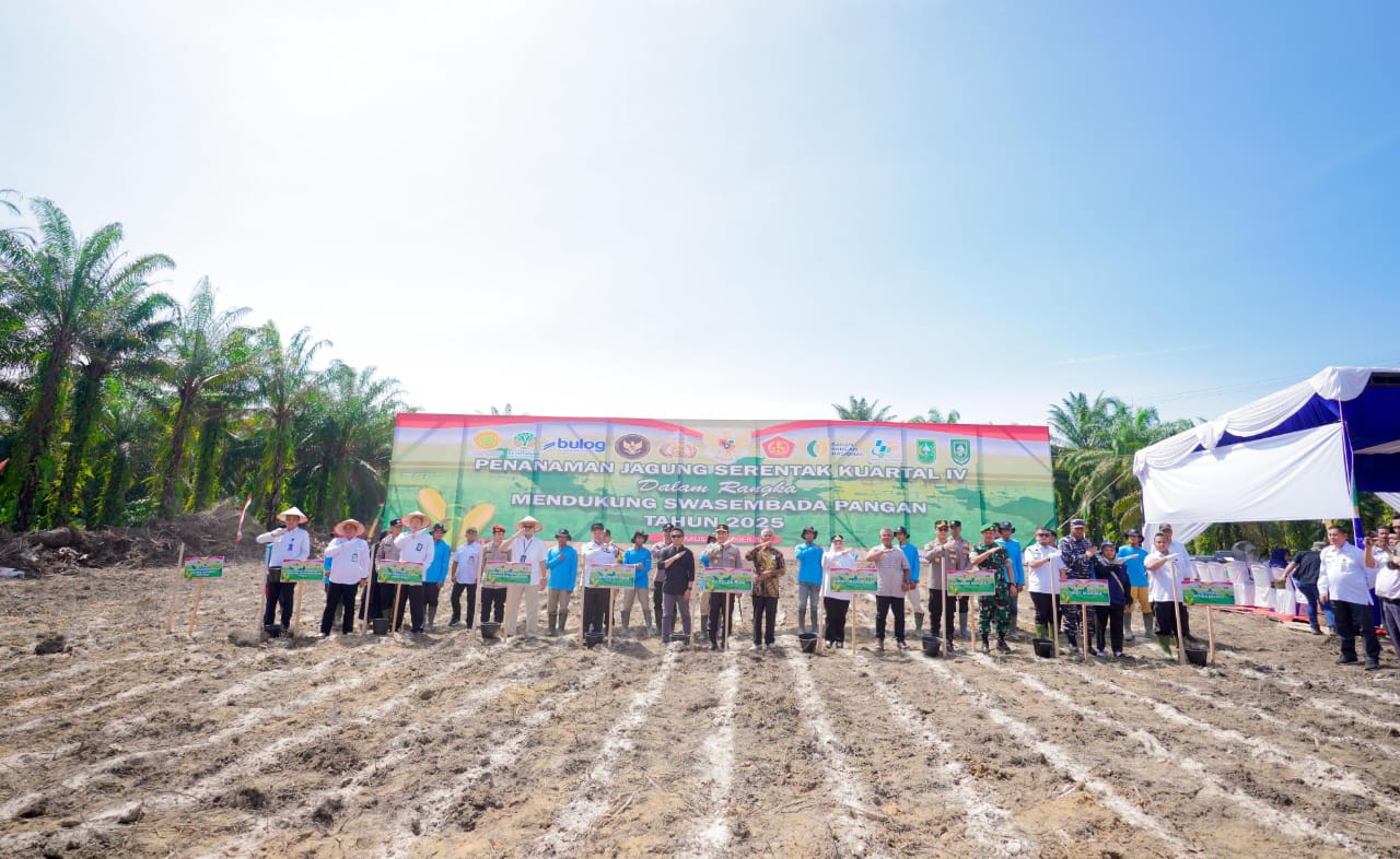 Dukung Swasembada Pangan 2025, Bupati Kasmarni Ikut Tanam Jagung Serentak Kuartal IV Bersama Gubernur dan Kapolda Riau