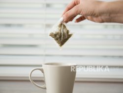 Dari Seafood Hingga Madu, Ini 7 Makanan yang Disebut Tercemar Mikroplastik