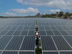 Pertamina NRE Siap Akselerasi Komersialisasi Energi Bersih di Tengah Tantangan Global
