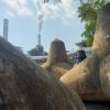 PLN Pacitan Ubah Limbah FABA Jadi Pupuk Tingkatkan Kesuburan Tanah