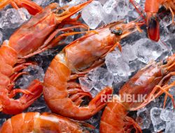 Udang dan Rempah Tercemar Cesium-137, BPOM ‘Gercep’ Cegah Bahaya di Makanan