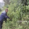 Temuan Pelajar Terkulai Lemas di Semak-semak di Bandung Barat Terungkap, Ini Pelakunya