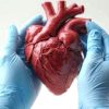 Plester Baru Membantu Penyembuhan Kerusakan Jantung Setelah Serangan Jantung