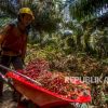 Petani Sawit Desak Pemerintah Hentikan Kebijakan yang Merugikan Rakyat